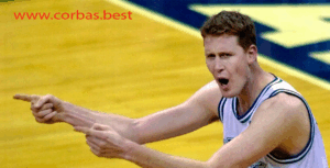 Shawn Bradley